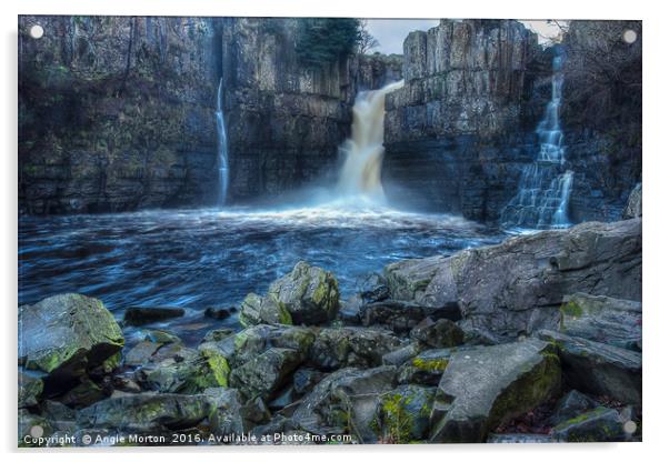 High Force Waterfalls Acrylic by Angie Morton