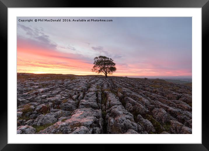 Under a Blood Red Sky, Malham Ash at Dawn Framed Mounted Print by Phil MacDonald