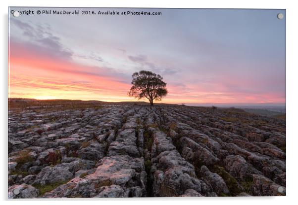 Under a Blood Red Sky, Malham Ash at Dawn Acrylic by Phil MacDonald