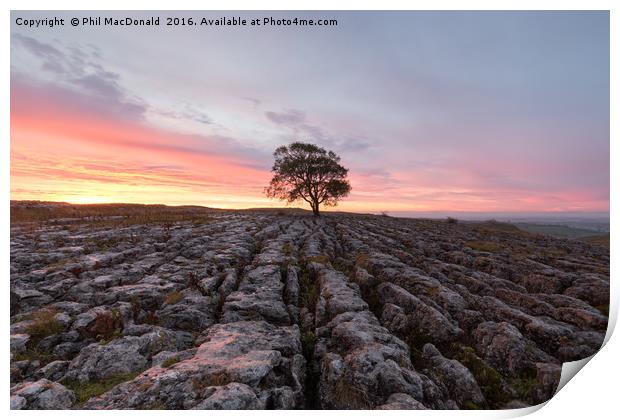Under a Blood Red Sky, Malham Ash at Dawn Print by Phil MacDonald