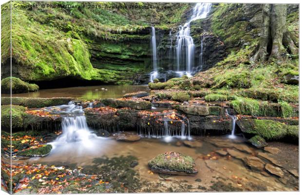 Scaleber Force Waterfall in Autumn (landscape) Canvas Print by Phil MacDonald