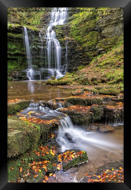 Scaleber Force Waterfall in Autumn (portrait) Framed Print by Phil MacDonald