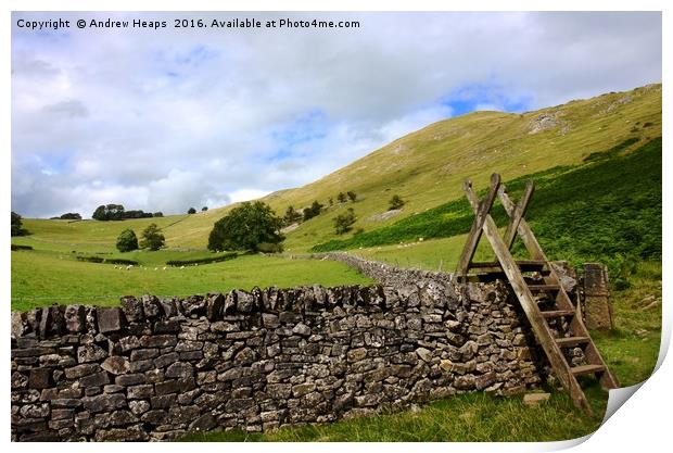 View at Dovedale hillside. Print by Andrew Heaps