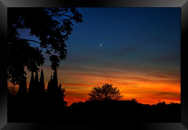 Sunset Crescent Moon & Venus Framed Print by Victoria Bowie