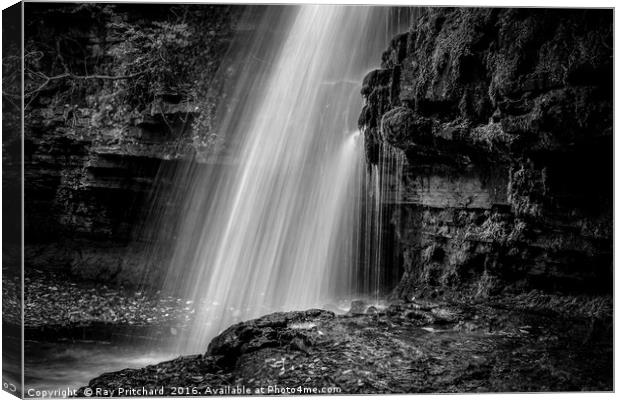 Waterfall in Teesdale Canvas Print by Ray Pritchard