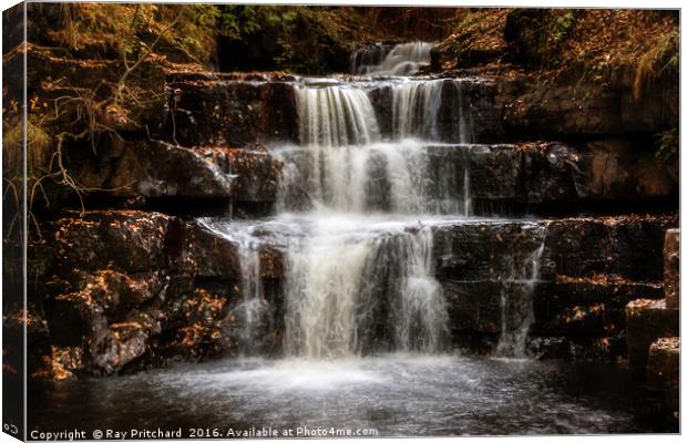 Summerhill Force  Canvas Print by Ray Pritchard