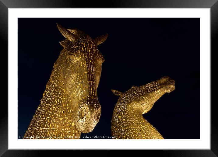 Black and Gold Framed Mounted Print by Stephen Taylor