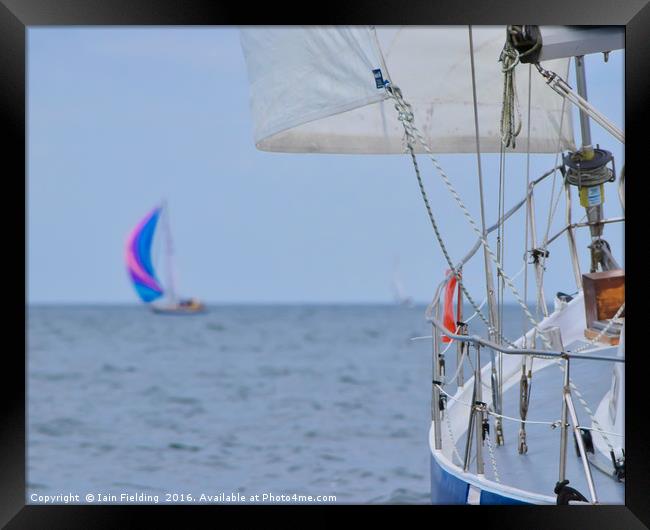 Blue Sails Framed Print by Iain Fielding