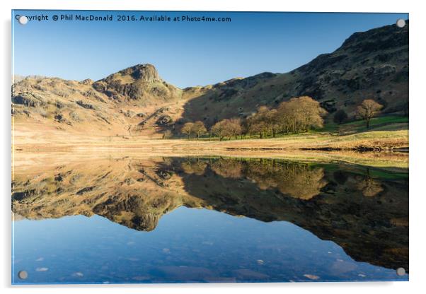 Mirror Image, Blea Tarn at Dawn Acrylic by Phil MacDonald
