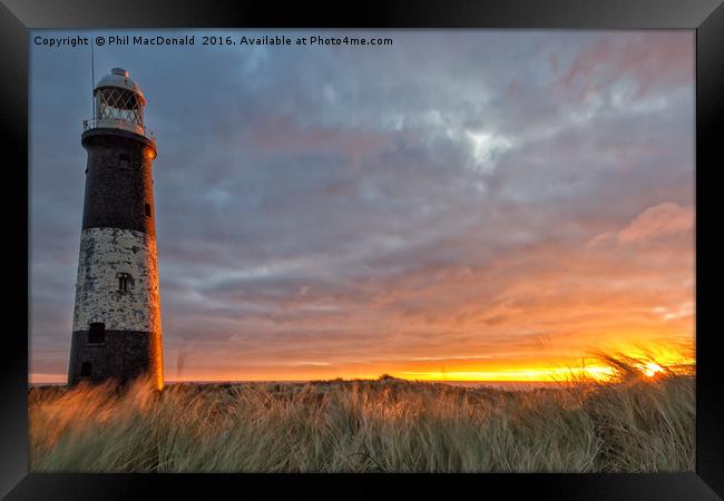 Glorious Sunrise, Spurn Lighthouse Framed Print by Phil MacDonald