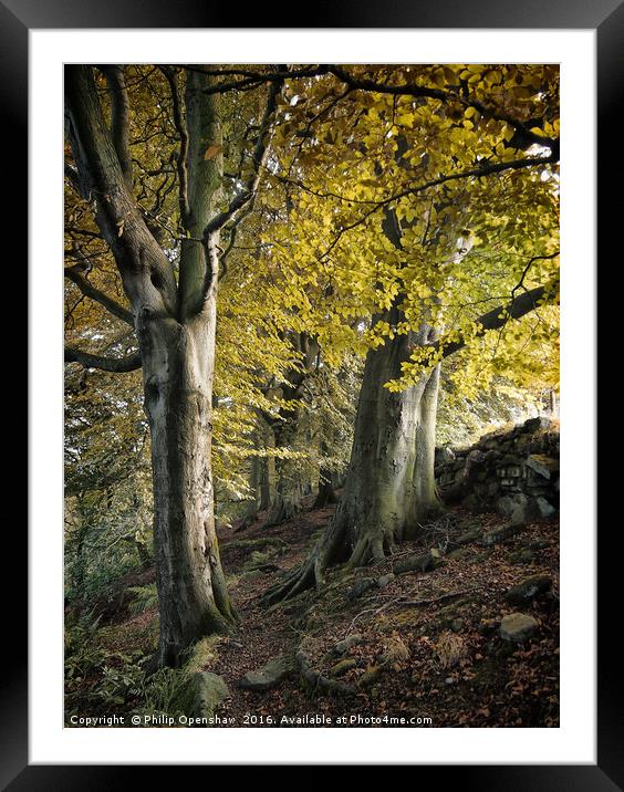 Crownest Woods, Against the Wall Framed Mounted Print by Philip Openshaw