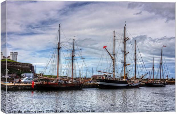 Tall Ships at Anchor Canvas Print by Tom Gomez