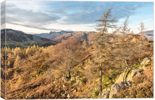Autumn Larches Canvas Print by Michael Houghton