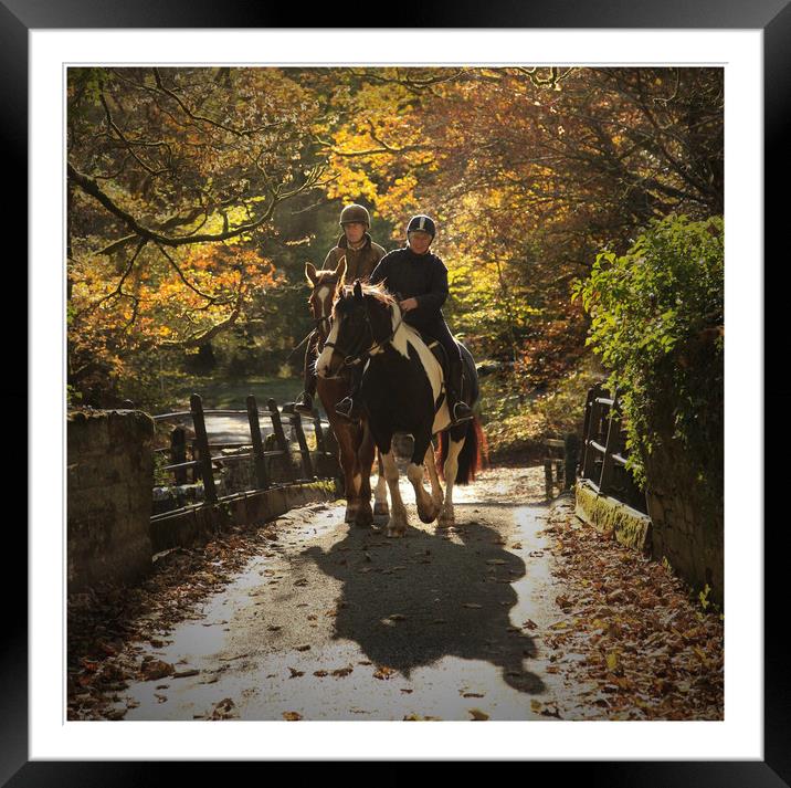 Autumn trot  Framed Mounted Print by Paul Fine