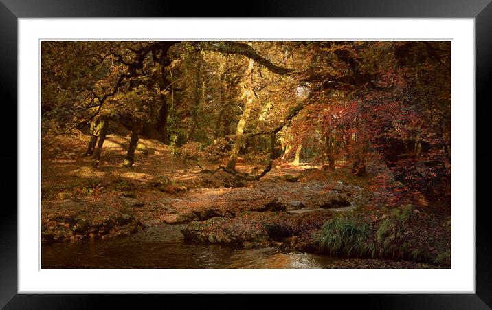 Colour my world  Framed Mounted Print by Paul Fine
