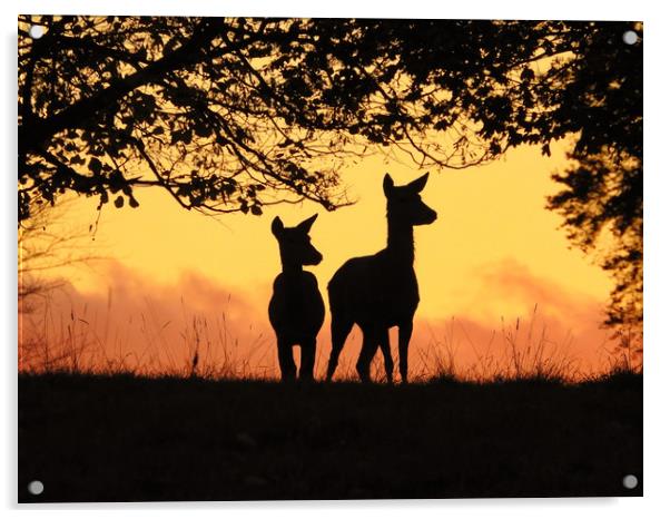 Bambi           Acrylic by Gerald Robinson