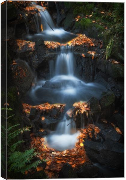 Clyne Park waterfalls Canvas Print by Leighton Collins