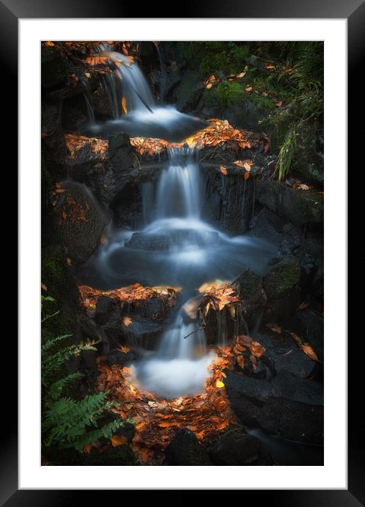 Clyne Park waterfalls Framed Mounted Print by Leighton Collins