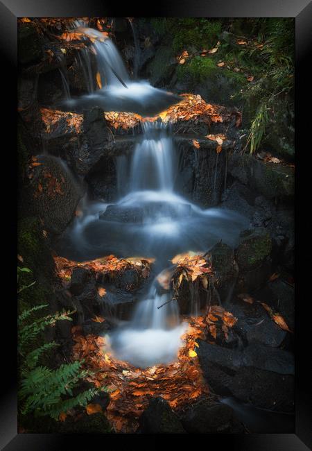 Clyne Park waterfalls Framed Print by Leighton Collins