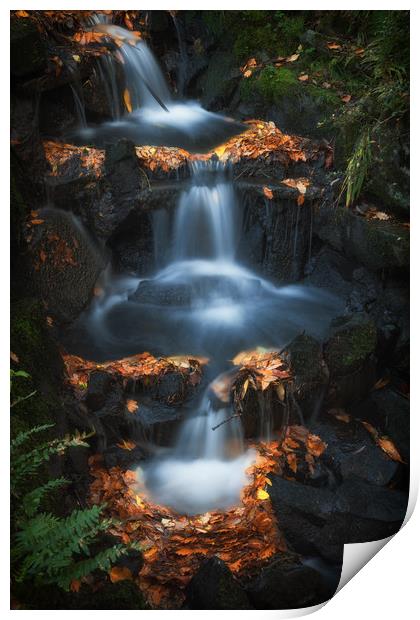 Clyne Park waterfalls Print by Leighton Collins