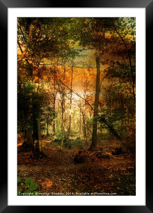 An Evening Ramble. Framed Mounted Print by Heather Goodwin