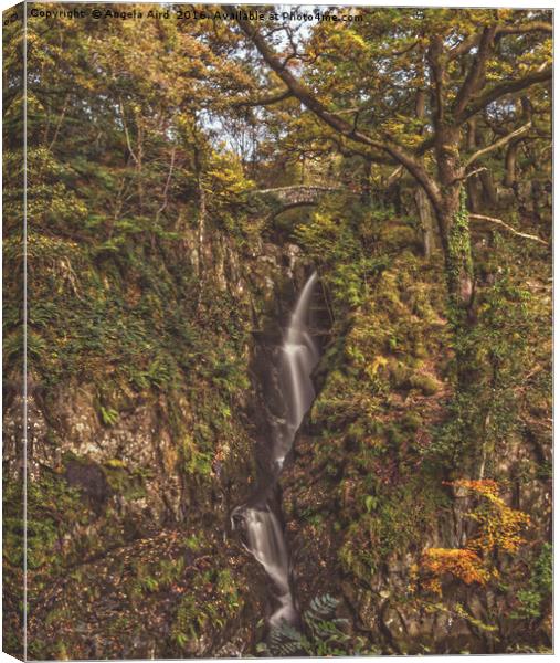 Autumnal Waterfall. Canvas Print by Angela Aird