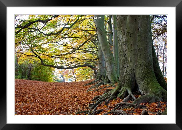 Chilterns in Autumn Framed Mounted Print by Graham Custance