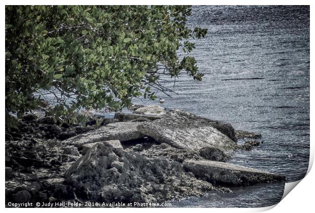 Rocky Shore Print by Judy Hall-Folde