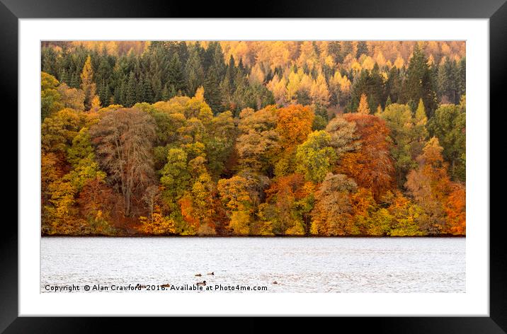 Autumn Colours, Perthshire Framed Mounted Print by Alan Crawford