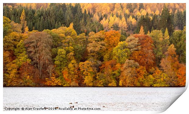Autumn Colours, Perthshire Print by Alan Crawford