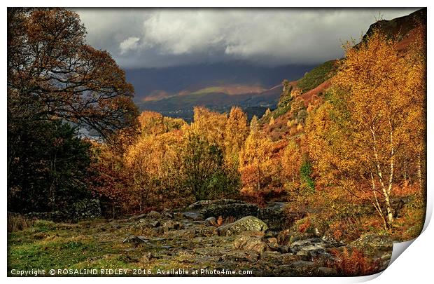 "AUTUMN COLOUR IN THE ENGLISH LAKE DISTRICT 2 ) Print by ROS RIDLEY