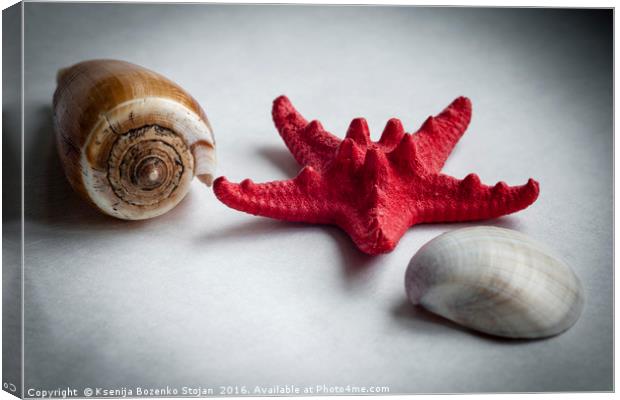 A sea snail shell, red starfish and white clam Canvas Print by Ksenija Bozenko Stojan