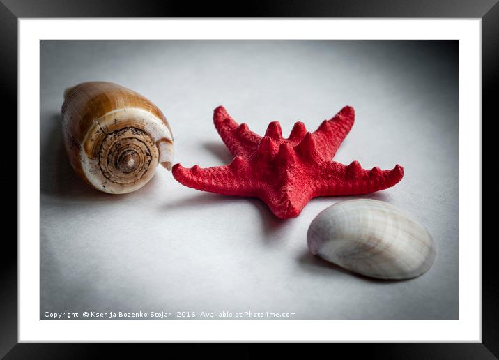 A sea snail shell, red starfish and white clam Framed Mounted Print by Ksenija Bozenko Stojan