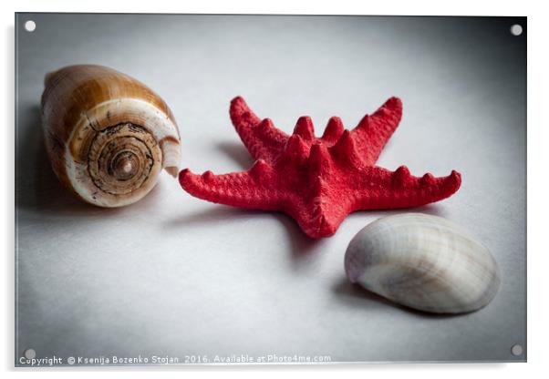 A sea snail shell, red starfish and white clam Acrylic by Ksenija Bozenko Stojan