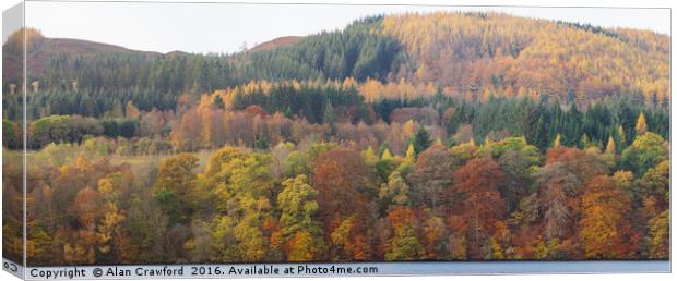 Autumn Colours, Perthshire Canvas Print by Alan Crawford