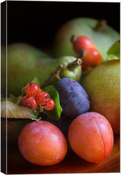 Summer Fruits Canvas Print by Ann Garrett