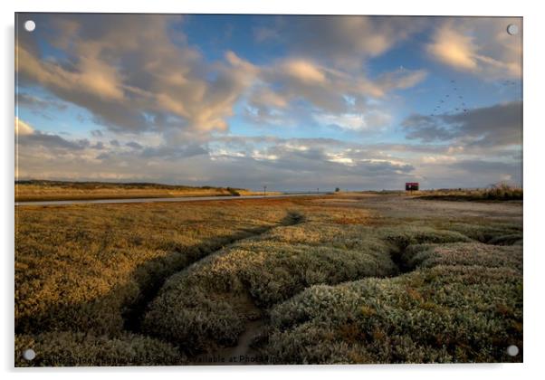 Towards the End of the Day - Rye Harbour, E. Susse Acrylic by Tony Sharp LRPS CPAGB