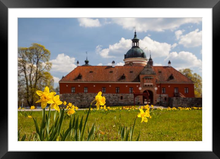 Gripsholm castle Framed Mounted Print by Thomas Schaeffer