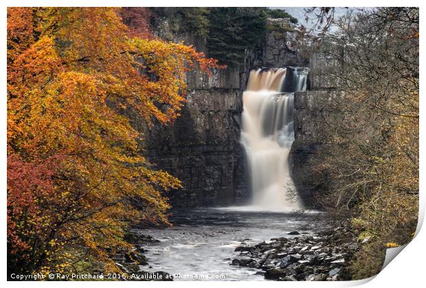 High Force Waterfall Print by Ray Pritchard