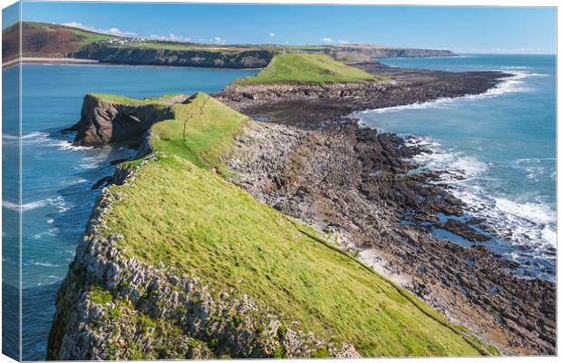 Reverse Worms Head Canvas Print by Purple OneTwoEight