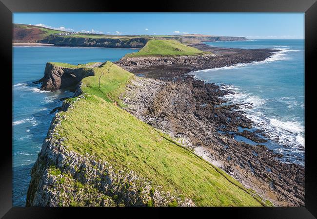 Reverse Worms Head Framed Print by Purple OneTwoEight