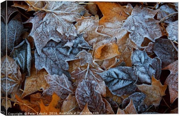 Frozen leaves Canvas Print by Peter Zabulis