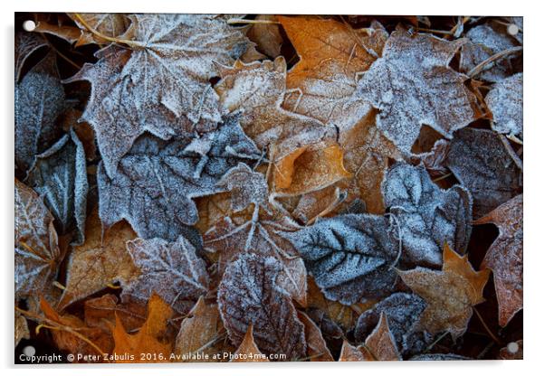 Frozen leaves Acrylic by Peter Zabulis
