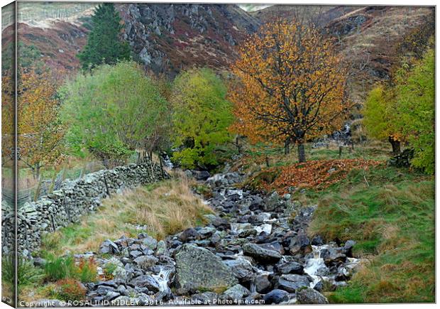 "MOUNTAIN STREAM" Canvas Print by ROS RIDLEY