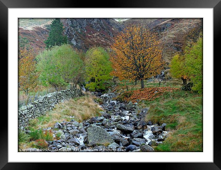 "MOUNTAIN STREAM" Framed Mounted Print by ROS RIDLEY