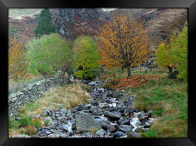 "MOUNTAIN STREAM" Framed Print by ROS RIDLEY