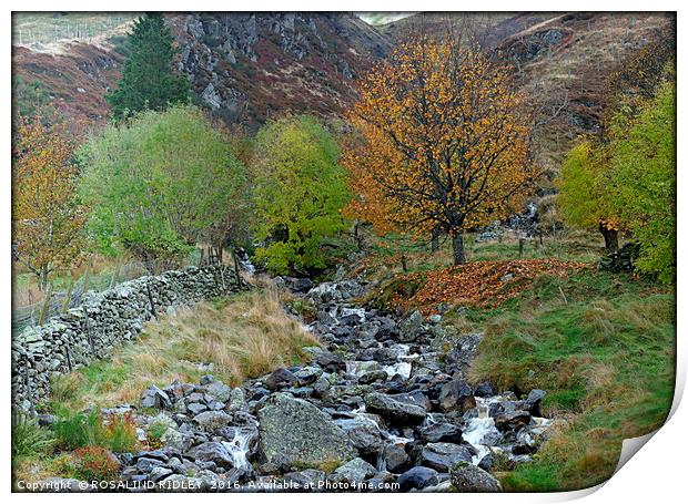 "MOUNTAIN STREAM" Print by ROS RIDLEY