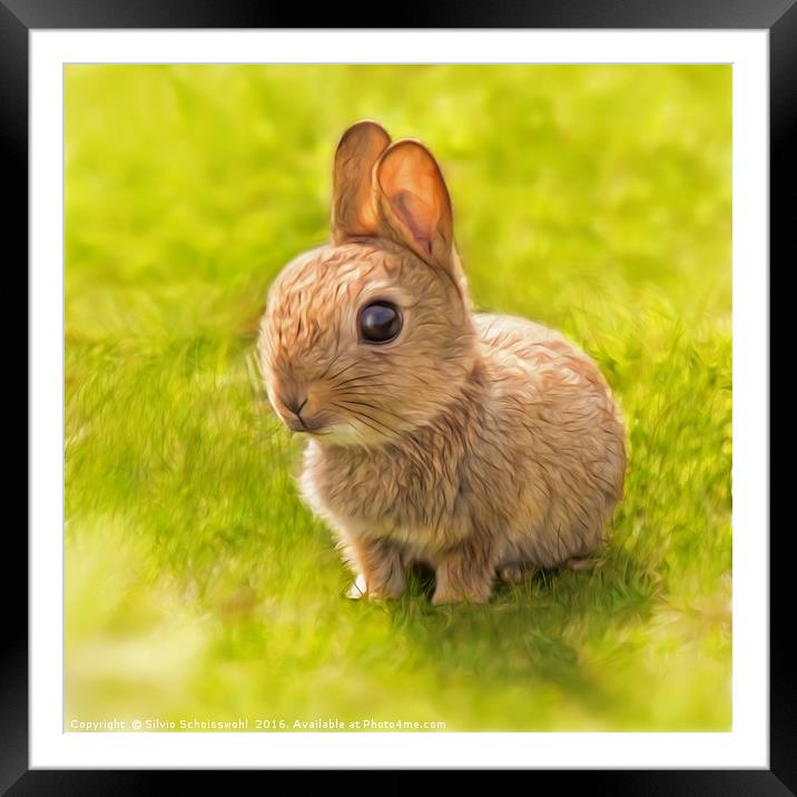 baby rabbit Framed Mounted Print by Silvio Schoisswohl