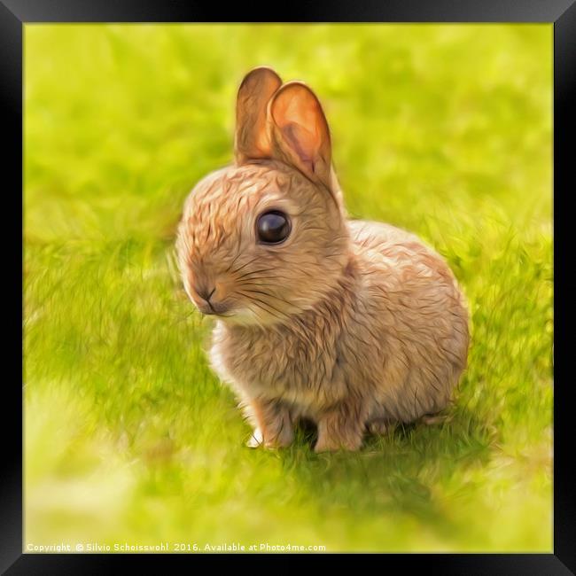 baby rabbit Framed Print by Silvio Schoisswohl