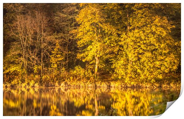 River Reflections............. Print by Naylor's Photography